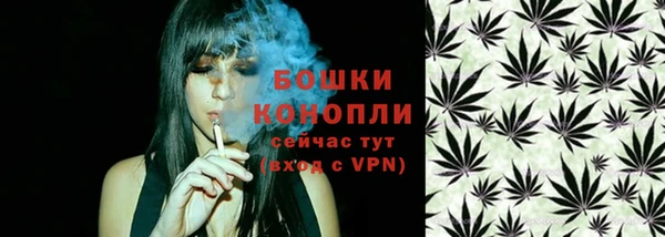 спиды Новозыбков