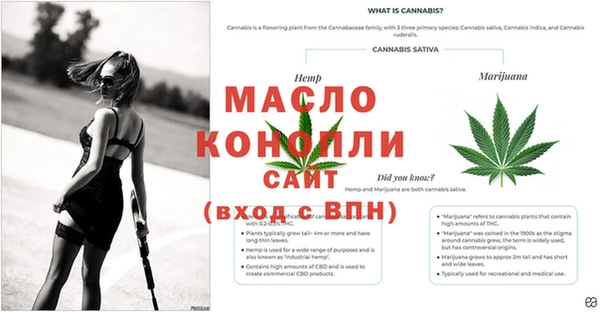 дмт Новодвинск