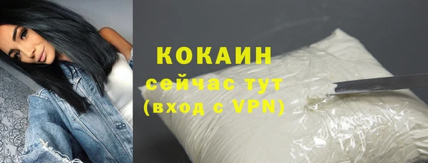 дмт Новодвинск