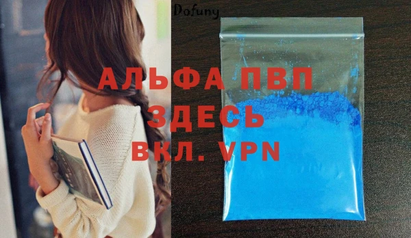 спиды Новозыбков