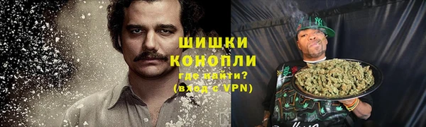 спиды Новозыбков