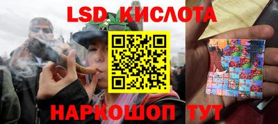 винт Донецк