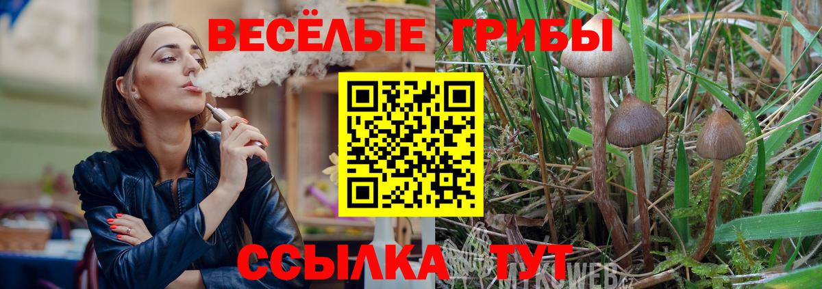 Клинцы  Псилоцибиновые грибы мицелий  Галлюциногенные грибы ЛСД  Вход с VPN 