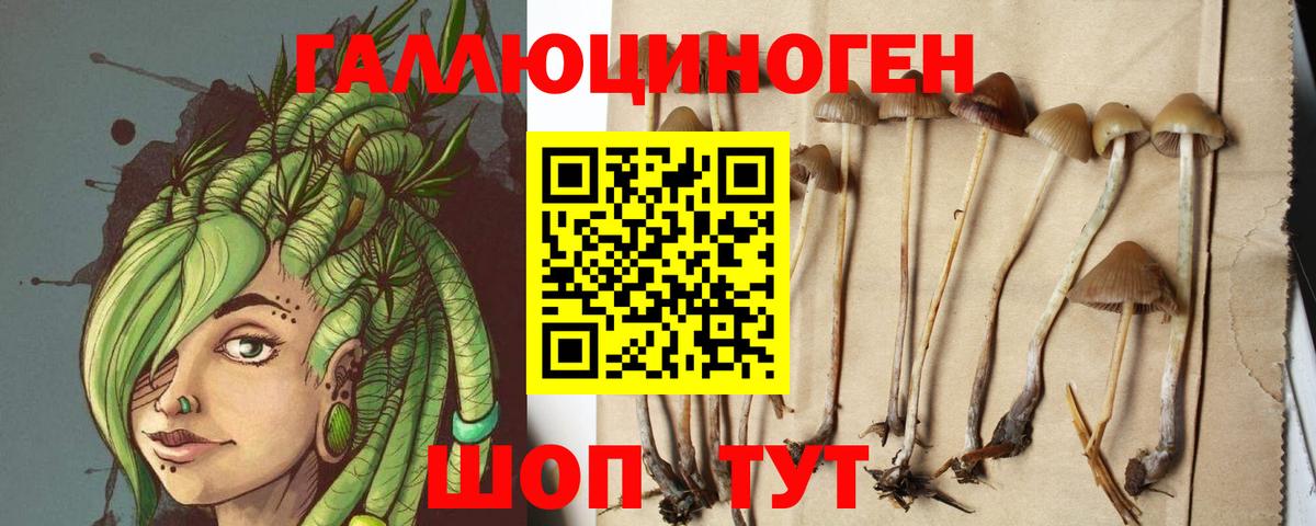 Галлюциногенные грибы мухоморы Клинцы